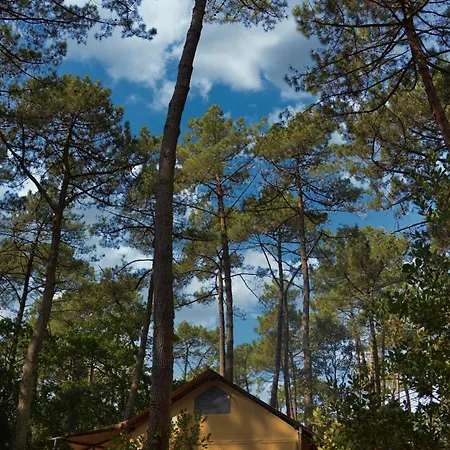 Lo Rey Du Lac Soorts-Hossegor Room photo